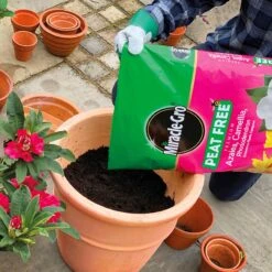 Miracle-Gro Peat Free Azalea, Camelia & Rhododendron Compost 40L -Garden Tools Shop 119994 furtherimage 2