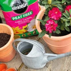 Miracle-Gro Peat Free Azalea, Camelia & Rhododendron Compost 40L -Garden Tools Shop 119994 furtherimage 4