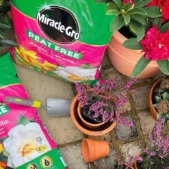 Miracle-Gro Peat Free Azalea, Camelia & Rhododendron Compost 40L -Garden Tools Shop 119994 furtherimage 5