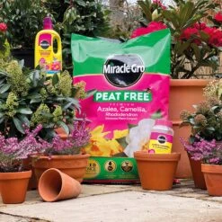 Miracle-Gro Peat Free Azalea, Camelia & Rhododendron Compost 40L -Garden Tools Shop 119994 furtherimage 6
