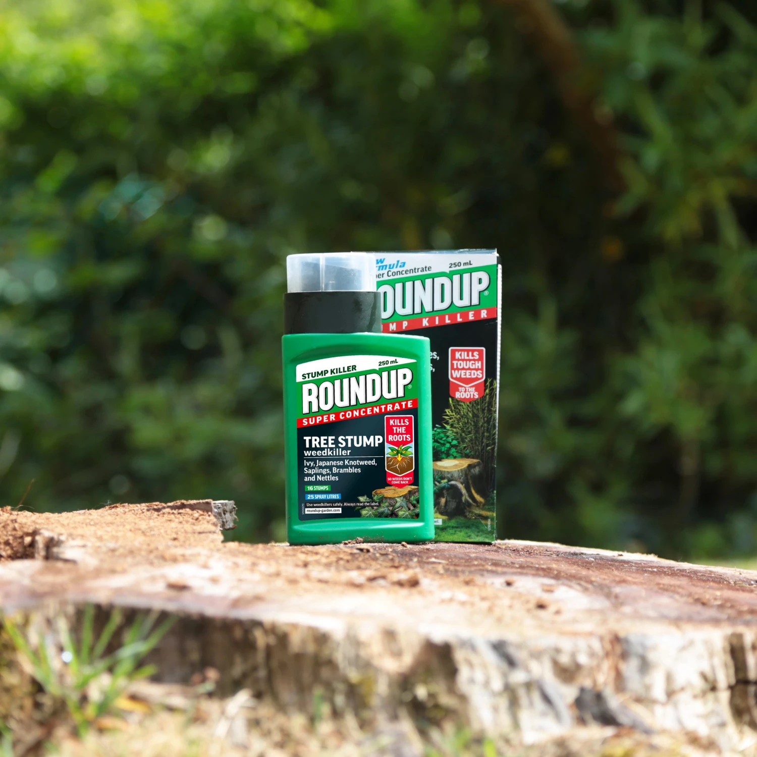 Roundup Tree Stump & Root Killer 250ml 5 Roundup Tree Stump & Root Killer 250ml - Image 3