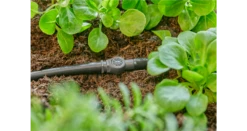 Gardena Connector 4.6 Mm (3/16") 9 Gardena Connector 4.6 Mm (3/16") -Garden Tools Shop 13213 20 4