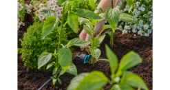 Gardena Adjustable Pressure Compensating Inline Drip Head 1–8 L/h -Garden Tools Shop 13314 20 5