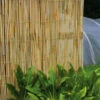 The Good Life Reed Screen 2m X 4m 2 The Good Life Reed Screen 2m X 4m -Garden Tools Shop 3A042718 719 720 Reed Screen 1 1