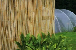 The Good Life Reed Screen 2m X 4m
