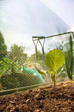 Apollo Plant Shading 10m X 660mm X 3mm