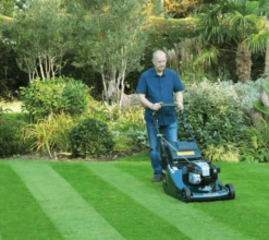 Hayter Harrier 56 Petrol VS BBC Rear-Roller Mower -Garden Tools Shop code575alifestylecmyk 156 lrg