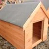 Dog Kennel - 3' X 2'