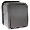 Scolmore AQUIP66 Weatherproof 1G 2-Way IP66 Switch -Garden Tools Shop oa411ag