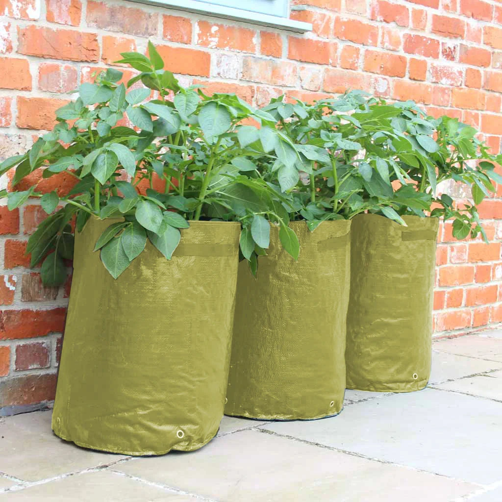 Haxnicks Potato Patio Planter X3 3 Haxnicks Potato Patio Planter X3