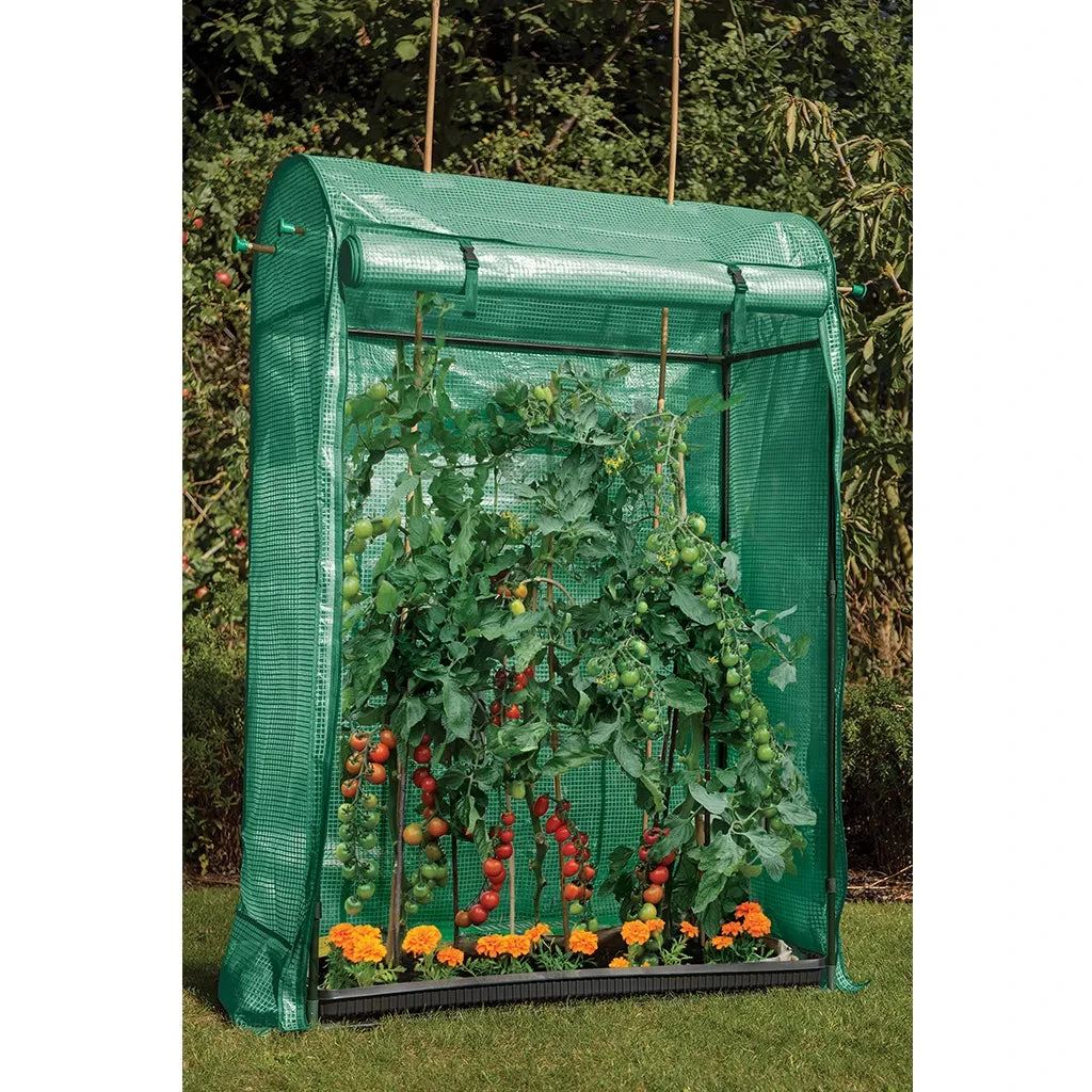 Grow It Premium Tomato Growhouse 3 Grow It Premium Tomato Growhouse