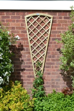 Forest Garden Hidcote Fan Trellis 180 X 61 X 3cm