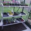 Halls 3-Tier Seed Tray Frame -Garden Tools Shop seed tray 15 tray p1010016 2