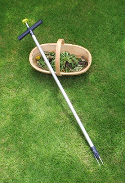 Burgon & Ball Wonder Weed Puller -Garden Tools Shop wonder weed puller lifestyle 04 low res